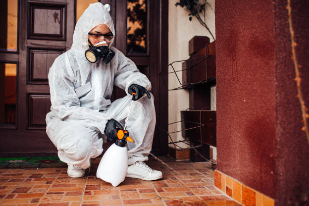 Reliable Bed Bug Control contractor in Sistersville, WV by Nex Pest Control