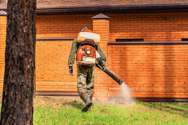 Trusted Termite Control service in Sistersville, WV - Nex Pest Control